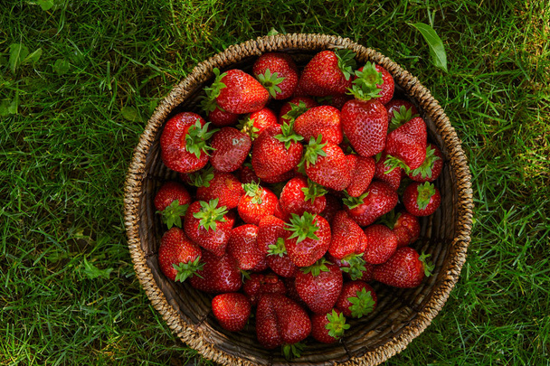 top view of red strawberries in wicker basket on green grass - Foto, Imagen