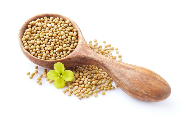 Yellow mustard seeds in the  wooden spoon on white - Photo, image