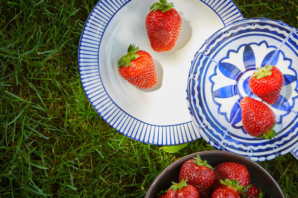 vue de dessus des fraises fraîches dans un bol et des assiettes sur l'herbe verte
 - Photo, image