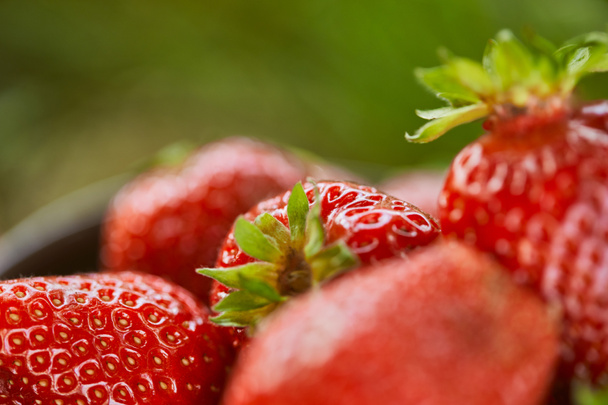 selective focus of raw red strawberries on green grass  - Fotografie, Obrázek