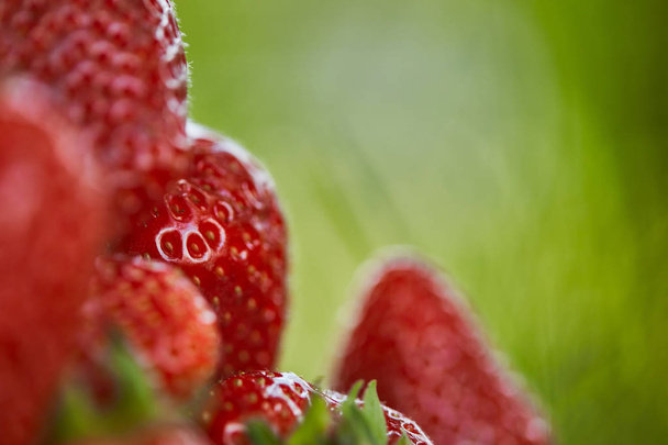 selective focus of fresh red strawberries on green grass  - 写真・画像