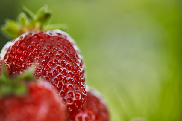 selective focus of fresh red strawberries on green grass  - Fotoğraf, Görsel