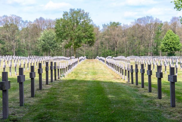ysselsteyn, Niederlande - 23. Mai 2019. viele kleine Betonkreuze auf dem deutschen Kriegsfriedhof in den Niederlanden mit sichtbaren Inschriften auf dem Kreuz. - Foto, Bild