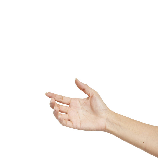 Empty female woman hand holding - Photo, image