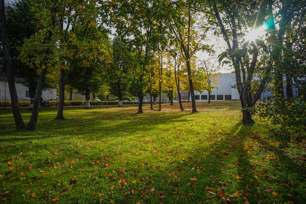 Φθινοπωρινό πάρκο στην Αγία Πετρούπολη, Ρωσία  - Φωτογραφία, εικόνα