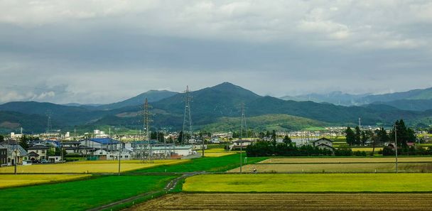Campo de arroz en Sendai, Japón
  - Foto, Imagen