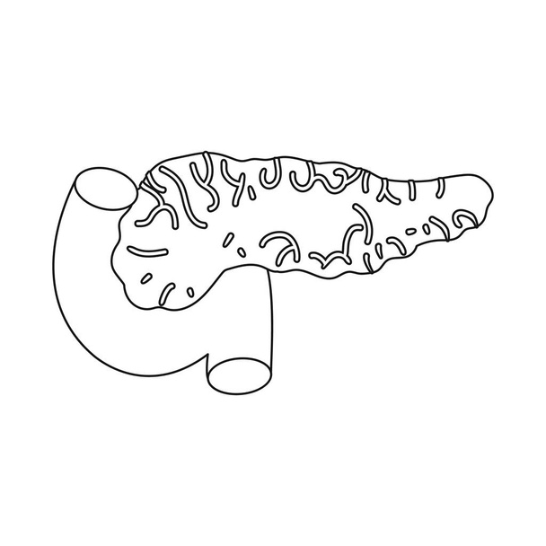 Vector illustration of pancreas and organ  logo. Set of pancreas and diagram vector icon for stock. - Vektori, kuva