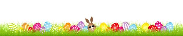 Kahverengi Yumurta Bunny Güneş Gözlüğü Ve Yirmi Sekiz Renkli Paskalya Yumurtaları Meadow Banner - Vektör, Görsel
