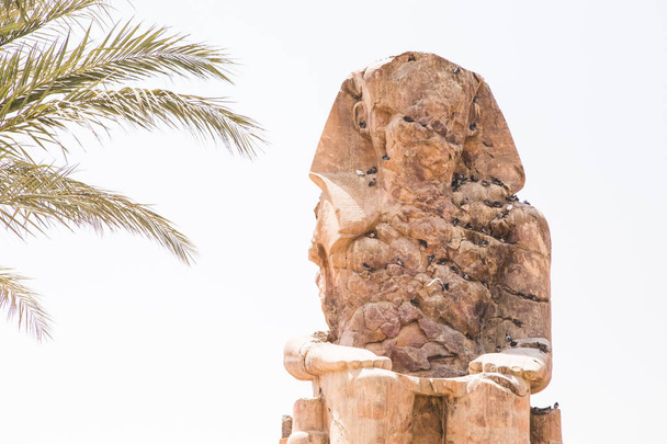 Kolosy Memnon w Luksorze - Zdjęcie, obraz