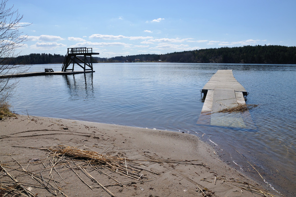 Затоплений пляж і дрібна деревина
 - Фото, зображення