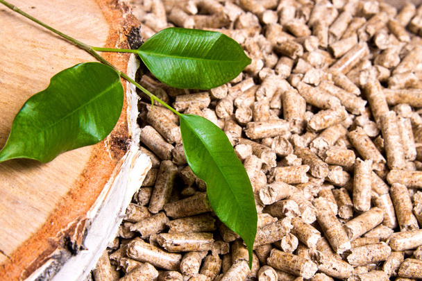 Дерев'яні гранули, береза і гілочка з листям. Біомаса Пеллети дешеві
 - Фото, зображення