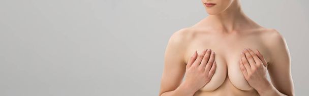 灰色で隔離された乳房を覆う裸の女性のパノラマショット - 写真・画像