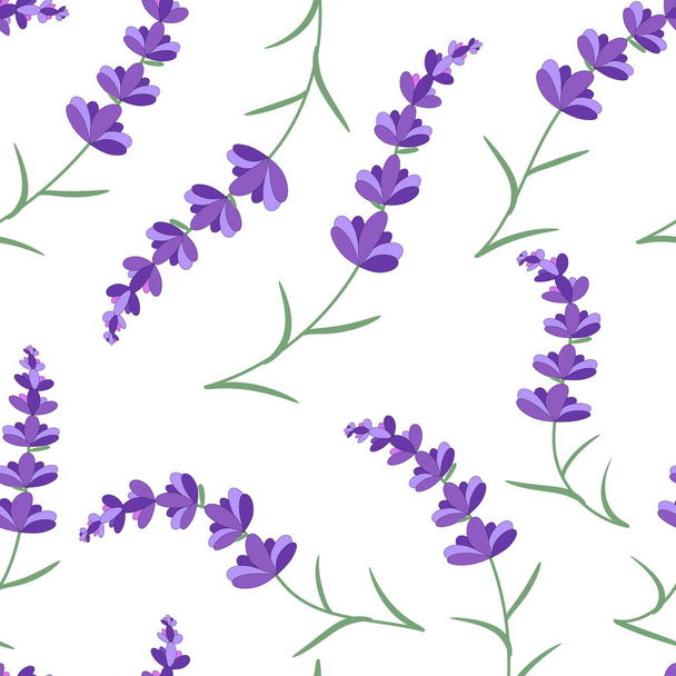 Seamless lavender pattern. - Vektor, Bild