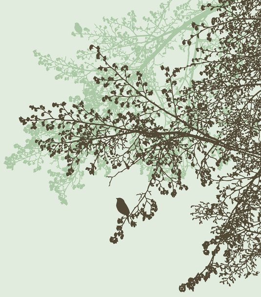 Σιλουέτες από κλαδιά φλαμουριάς σε ένα ανοιξιάτικο δάσος - Διάνυσμα, εικόνα