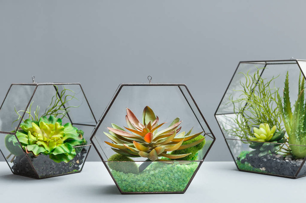 Hogar concepto de mini jardín, con espacio para copiar
 - Foto, Imagen