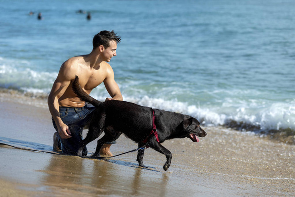 young caucasian male playing with dog on beach during sunrise or sunset. - Photo, Image