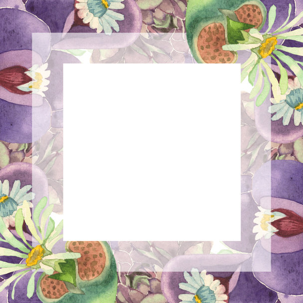 Succulent floral botanical flower. Wild spring leaf wildflower isolated. Watercolor background illustration set. Watercolour drawing fashion aquarelle isolated. Frame border ornament square. - Photo, Image