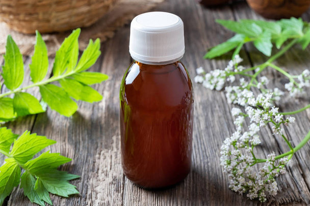 A bottle of tincture with fresh valerian plant - Photo, Image
