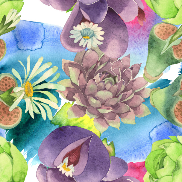 Succulent floral botanical flower. Wild spring leaf wildflower. Watercolor illustration set. Watercolour drawing fashion aquarelle. Seamless background pattern. Fabric wallpaper print texture. - Photo, image