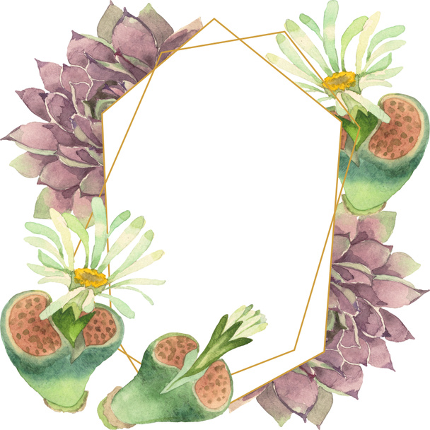 Succulent floral botanical flower. Wild spring leaf wildflower isolated. Watercolor background illustration set. Watercolour drawing fashion aquarelle. Frame border crystal ornament square. - Photo, Image