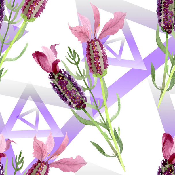 Flores botânicas florais de lavanda roxa. Conjunto de ilustração de fundo aquarela. Padrão de fundo sem costura
. - Foto, Imagem