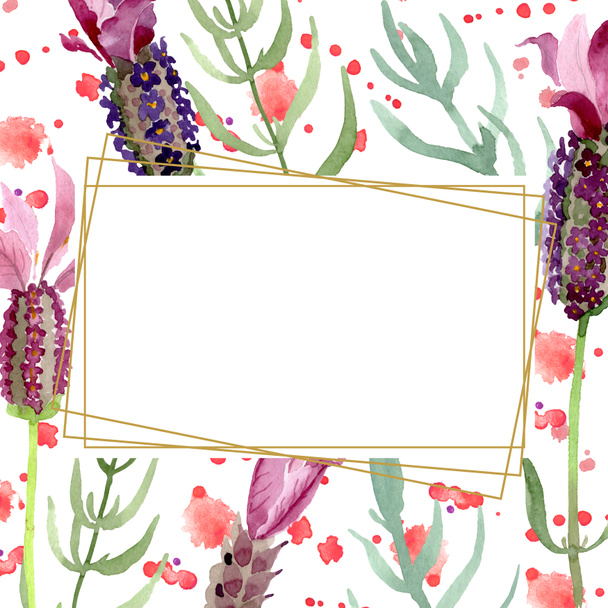 Purple lavender floral botanical flowers. Watercolor background illustration set. Frame border ornament square. - Foto, Imagen