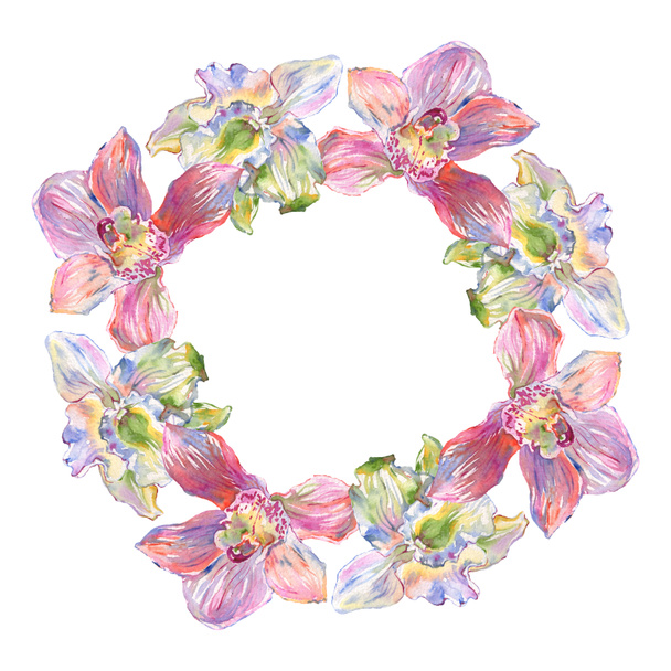 Orchid floral botanical flowers. Watercolor background illustration set. Frame border ornament square. - 写真・画像