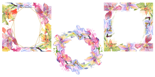 Flores botânicas florais de orquídea. Conjunto de ilustração de fundo aquarela. Quadro borda ornamento quadrado
. - Foto, Imagem