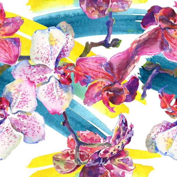 Orchidea kwiatowe kwiaty botaniczne. Akwarela zestaw ilustracji tła. Płynny wzór tła. - Zdjęcie, obraz