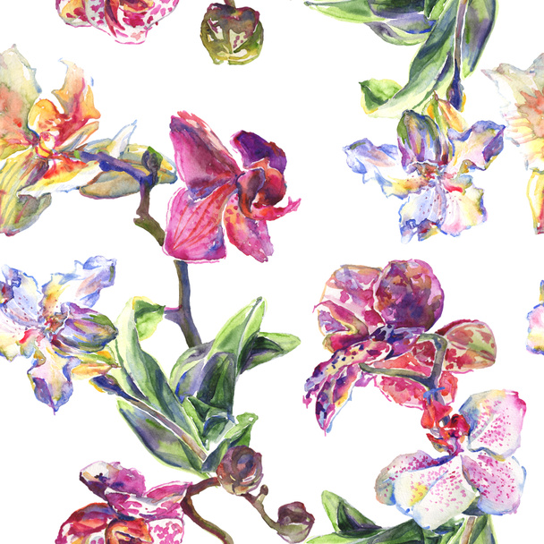 Orchid floral botanical flowers. Watercolor background illustration set. Seamless background pattern. - Foto, afbeelding