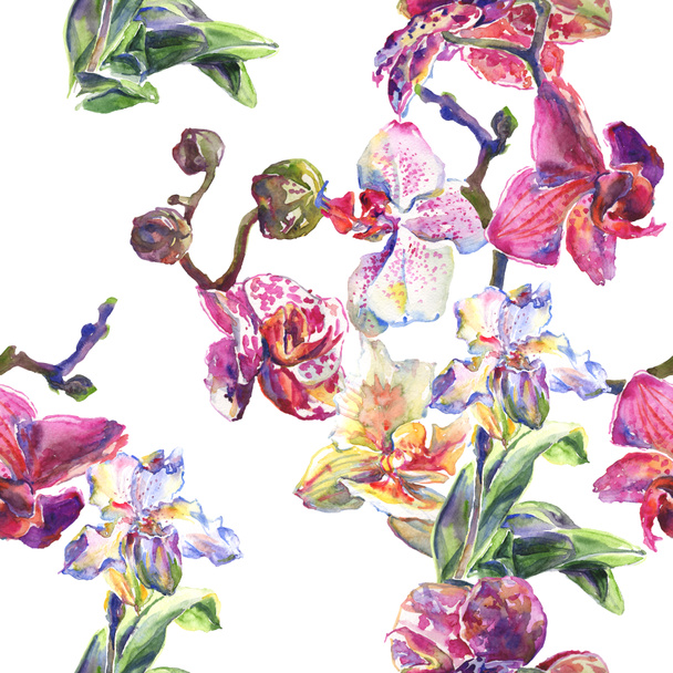 Orchid floral botanical flowers. Watercolor background illustration set. Seamless background pattern. - Fotoğraf, Görsel