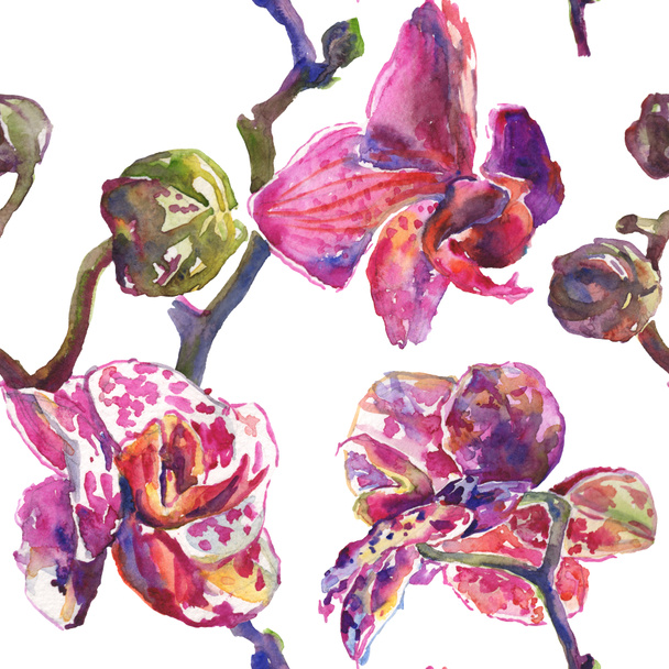 Orchid floral botanical flowers. Watercolor background illustration set. Seamless background pattern. - Valokuva, kuva