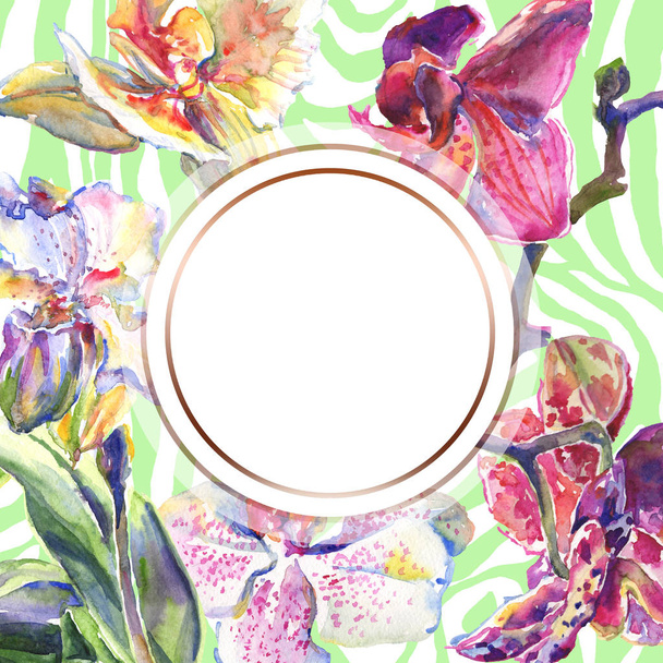 Orchidea kwiatowe kwiaty botaniczne. Akwarela zestaw ilustracji tła. Obramowanie ramy ornament kwadrat. - Zdjęcie, obraz