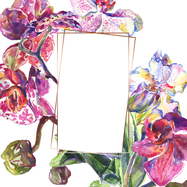 Orquídea flores botánicas florales. Conjunto de ilustración de fondo acuarela. Marco borde ornamento cuadrado
. - Foto, imagen