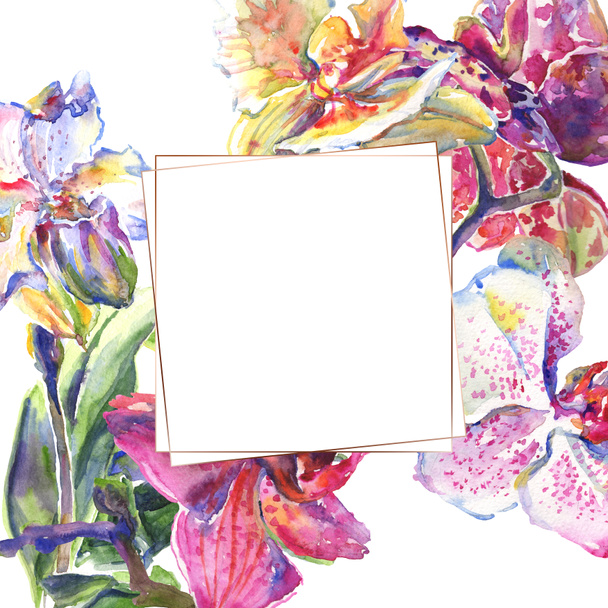 Orchid floral botanical flowers. Watercolor background illustration set. Frame border ornament square. - Zdjęcie, obraz