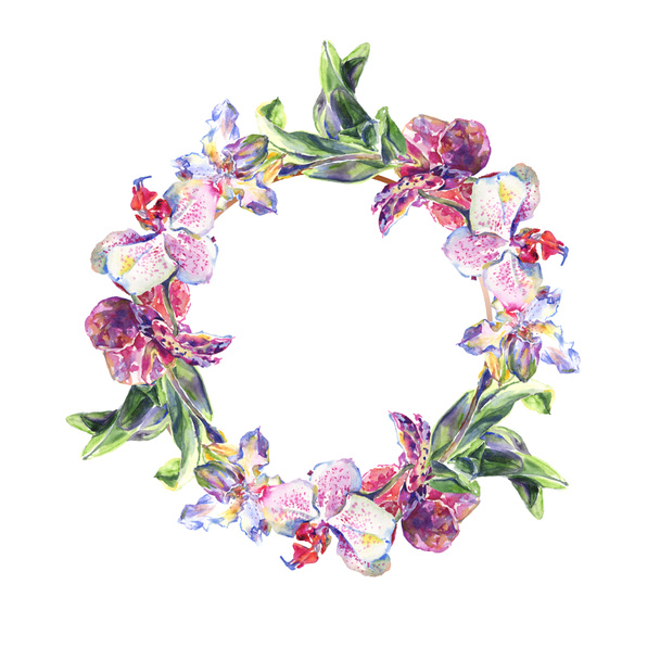 Orchid floral botanical flowers. Watercolor background illustration set. Frame border ornament square. - Foto, Imagen