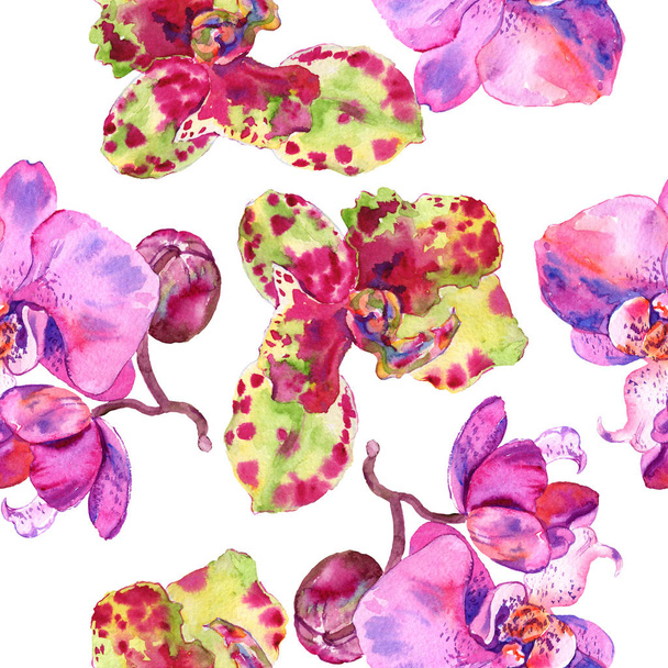 Orchidee Blumen botanische Blume. Aquarell Hintergrundillustration Set. nahtloses Hintergrundmuster. - Foto, Bild