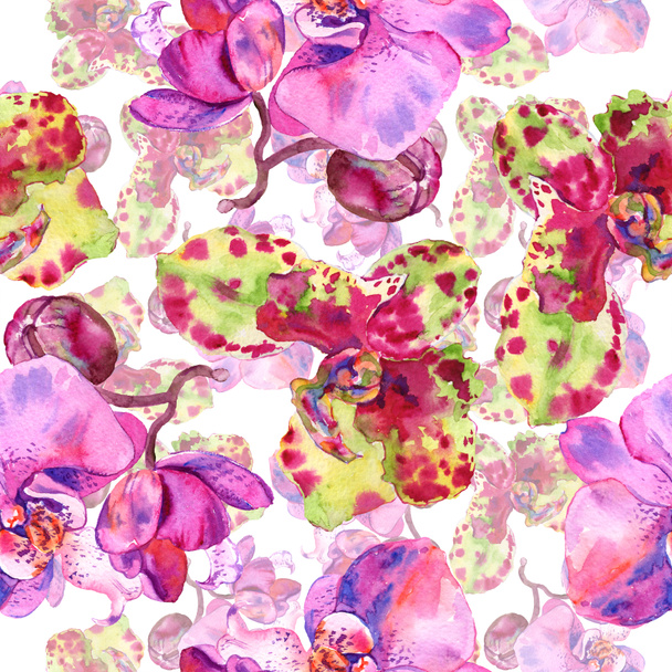 Orchid floral botanical flower. Watercolor background illustration set. Seamless background pattern. - Foto, Imagem