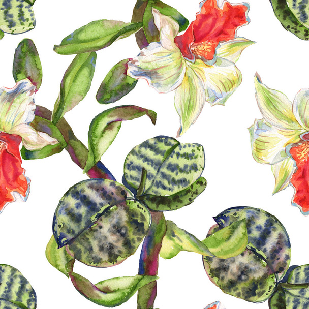 Orchid floral botanical flower. Watercolor background illustration set. Seamless background pattern. - Foto, Imagen