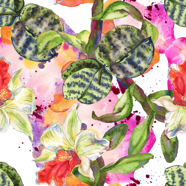 Orchid floral botanical flower. Wild spring leaf wildflower isolated. Watercolor background illustration set. Watercolour drawing fashion aquarelle isolated. - 写真・画像