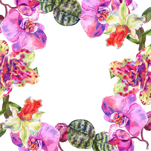 Orchid floral botanical flower. Watercolor background illustration set. Frame border ornament square. - Photo, Image