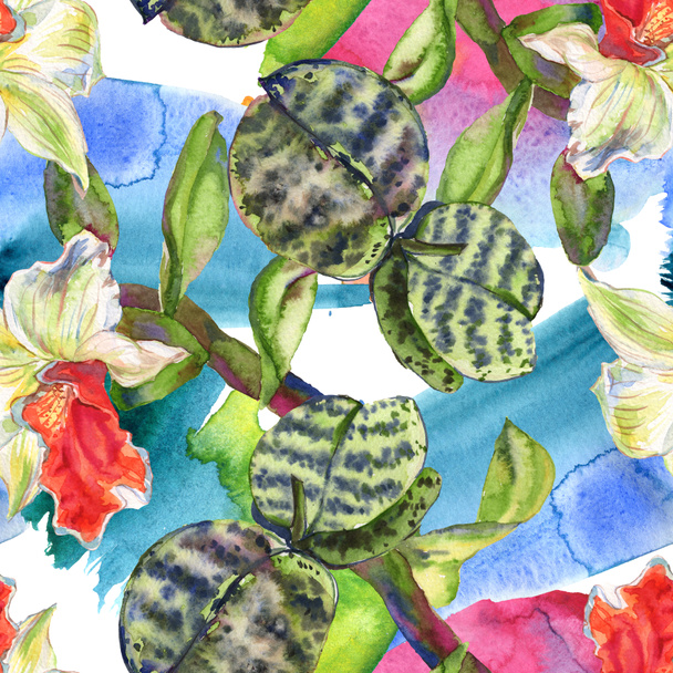 Orchid floral botanical flower. Watercolor background illustration set. Seamless background pattern. - 写真・画像