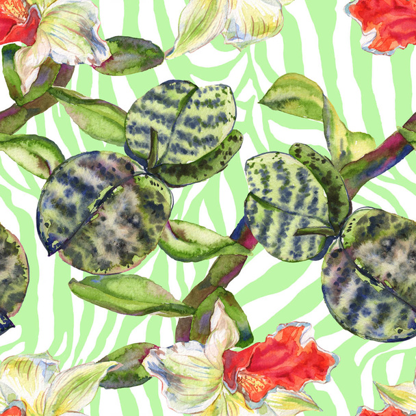 Orchid floral botanical flower. Watercolor background illustration set. Seamless background pattern. - Fotoğraf, Görsel