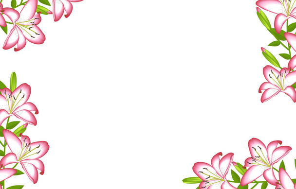 Lily flower frame decoration isolated - Vector, afbeelding