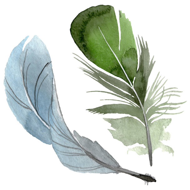Bird feather from wing isolated. Watercolor background illustration set. Isolated feathers illustration element. - Foto, afbeelding