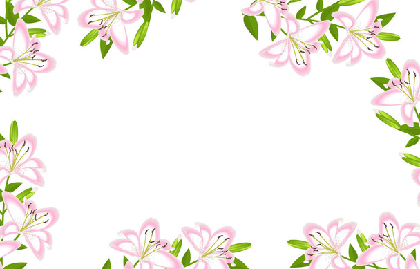 Lily flower frame decoration isolated - Vektor, obrázek