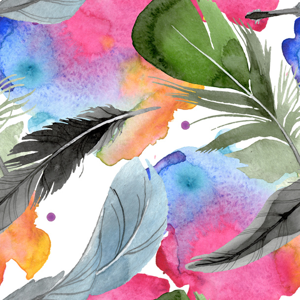 Bird feather from wing isolated. Watercolor background illustration set. Seamless background pattern. - 写真・画像