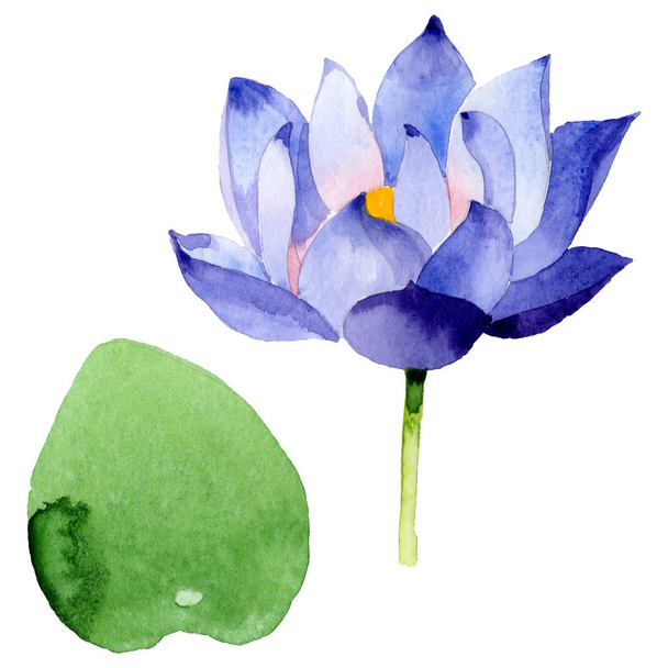 Blue lotus floral botanical flowers. Watercolor background illustration set. Isolated nelumbo illustration element. - Фото, зображення