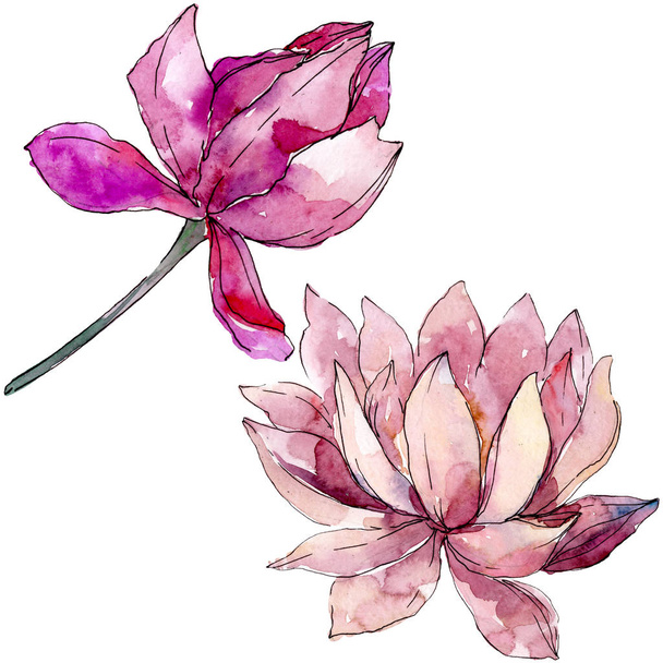 Lotus floral botanical flowers. background illustration set. Isolated nelumbo illustration element. - Фото, зображення