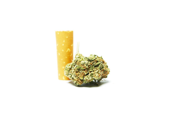 Dried marijuana and cigarette filter. Drug addiction concept. Medical marijuana concept  - Photo, Image